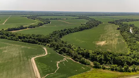 166 41 Acres, Marked Tree, AR 72365 photo 17