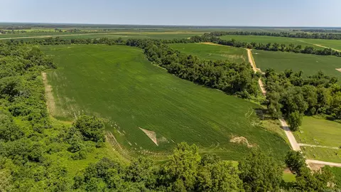 166 41 Acres, Marked Tree, AR 72365 photo 2