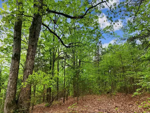 00 Stuart Rd, Quitman, AR 72131 photo 2