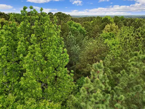 00 Stuart Rd, Quitman, AR 72131 photo 8