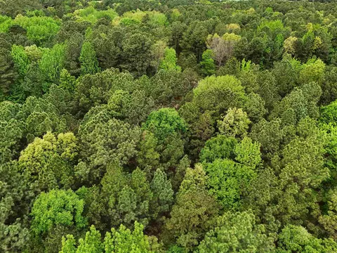 00 Stuart Rd, Quitman, AR 72131 photo 9