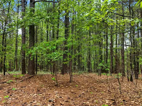 00 Stuart Rd, Quitman, AR 72131 photo 5
