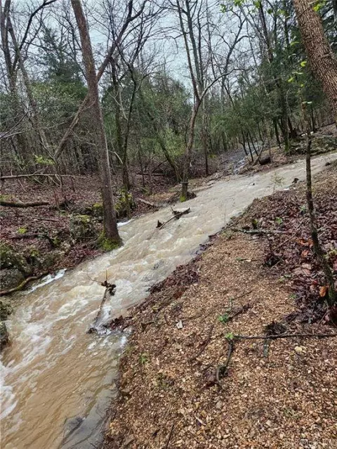 View/Area - 10974 Ricks Dr, Harrison, AR 72601 photo 3 of 9