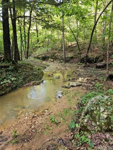 Other - 10974 Ricks Dr, Harrison, AR 72601 photo 2 of 23