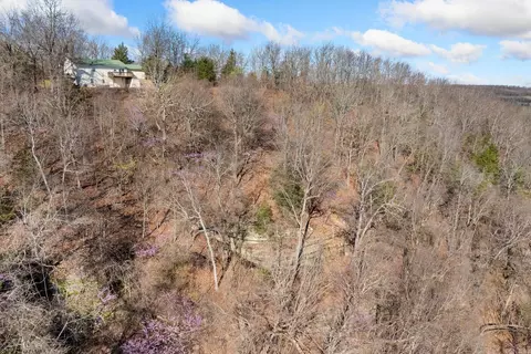 View/Area - 10974 Ricks Dr, Harrison, AR 72601 photo 8 of 9