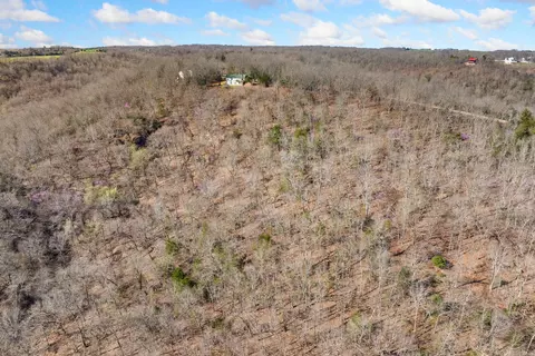 View/Area - 10974 Ricks Dr, Harrison, AR 72601 photo 7 of 9
