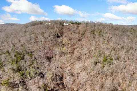 Other - 10974 Ricks Dr, Harrison, AR 72601 photo 21 of 23
