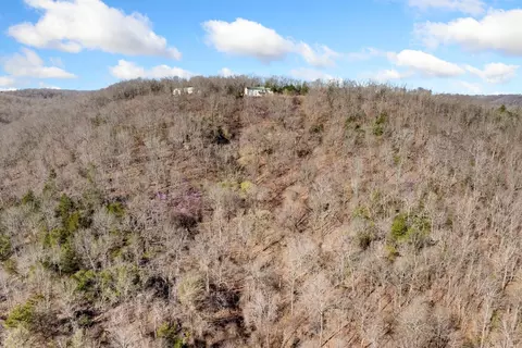 View/Area - 10974 Ricks Dr, Harrison, AR 72601 photo 8 of 9