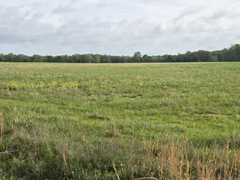 27 24 Acres Off Durham Rd, Searcy, AR 72143 photo 3
