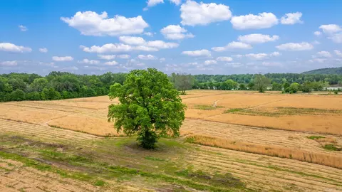 0 Easterwood Point Rd, Mayflower, AR 72106 photo 16