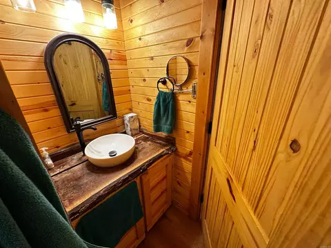 Bath - 185 Sugar Hl, Mountain View, AR 72560 photo 4 of 4