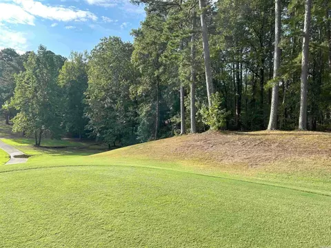 X Castillo Lane, Hot Springs Village, AR 71909