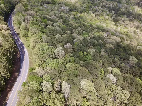 1949 Hwy 9 E, Shirley, AR 72153