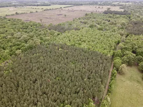 000 Drag Strip Rd, Dardanelle, AR 72834