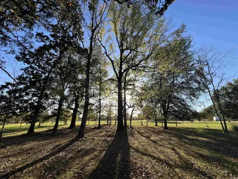 373 Heather Loop, Lonoke, AR 72086 photo 5