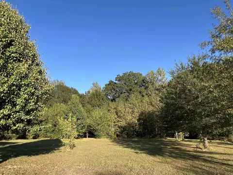 373 Heather Loop, Lonoke, AR 72086 photo 3