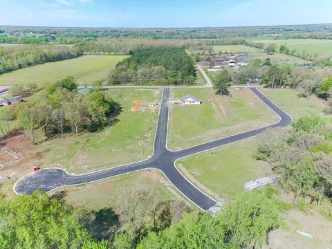 100 Ceasar Cv, Brookland, AR 72417 photo 11