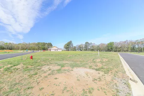 100 Ceasar Cv, Brookland, AR 72417 photo 17