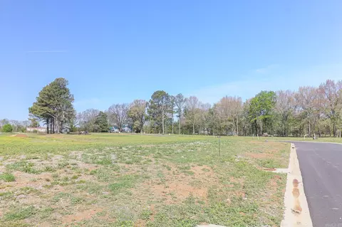 100 Ceasar Cv, Brookland, AR 72417 photo 20