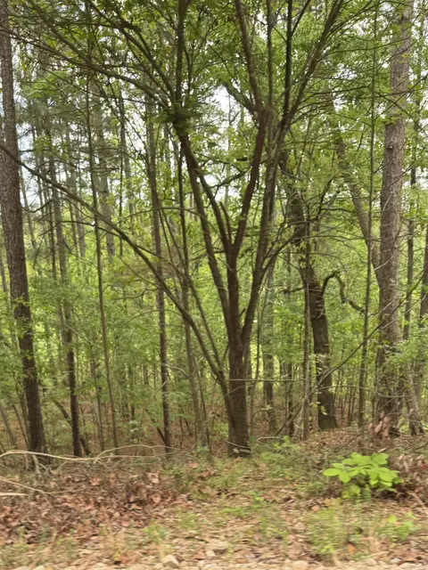 Vacant Land Doubloon Circle, Hot Springs, AR 71913