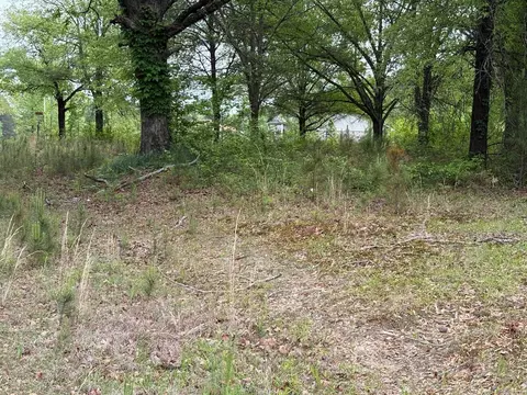 10608 Princeton Pike, White, AR 71602 photo 3