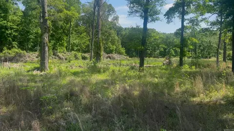 135 Singleton Rd, Lonoke, AR 72086 photo 7