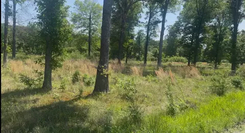 135 Singleton Rd, Lonoke, AR 72086 photo 8