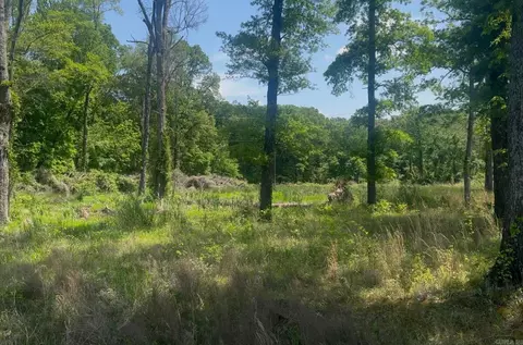 135 Singleton Rd, Lonoke, AR 72086 photo 9