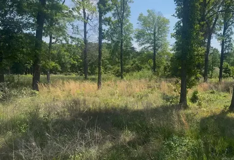 135 Singleton Rd, Lonoke, AR 72086 photo 4