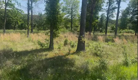 135 Singleton Rd, Lonoke, AR 72086 photo 3