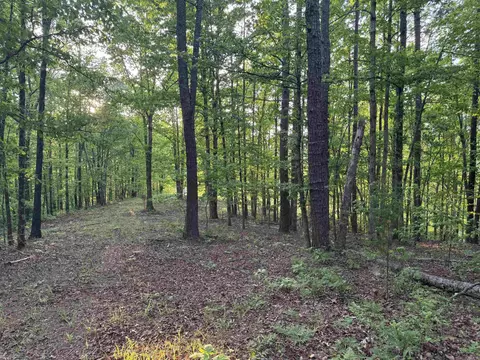 6902 Spring St, Lonsdale, AR 72087 photo 37
