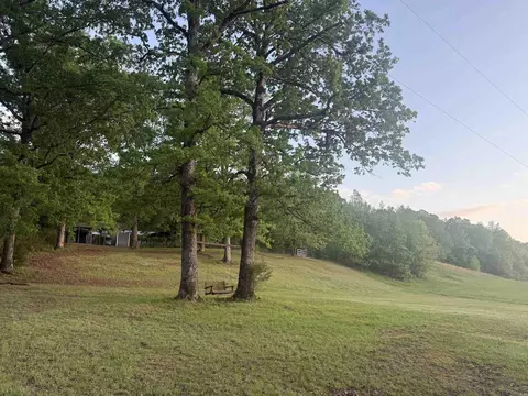6902 Spring St, Lonsdale, AR 72087 photo 41