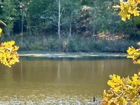 201 Morgan Loop Rd, Dewitt, AR 72042 photo 18