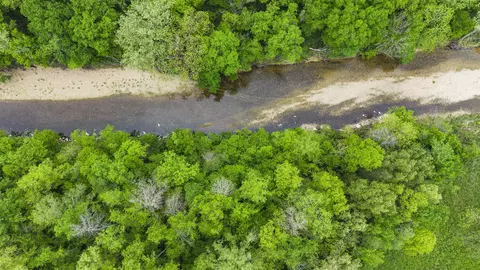 View/Area - 709 Jones Rd, Timbo, AR 72680 photo 4 of 5