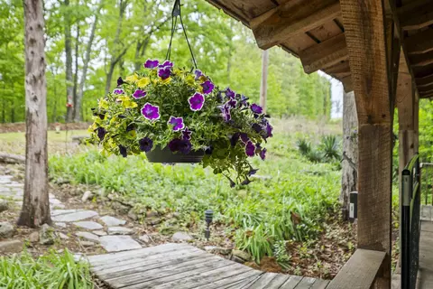 Exterior - 709 Jones Rd, Timbo, AR 72680 photo 5 of 11