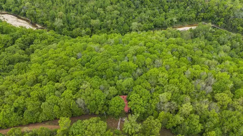 Other - 709 Jones Rd, Timbo, AR 72680 photo 3 of 13
