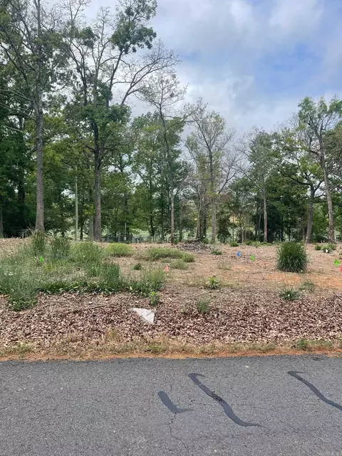 30 Dam Rd, Mayflower, AR 72106 photo 4