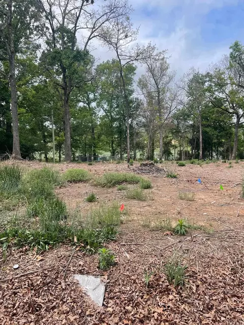 30 Dam Rd, Mayflower, AR 72106 photo 3