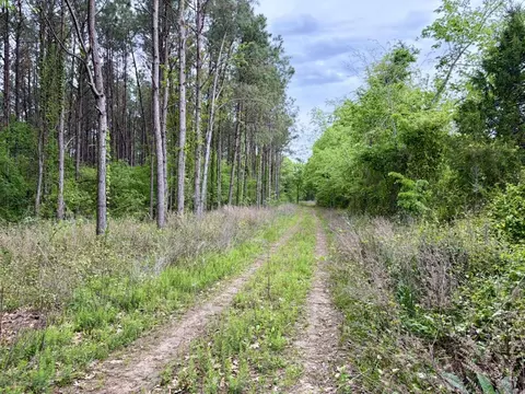 002 Drag Strip Rd, Dardanelle, AR 72834