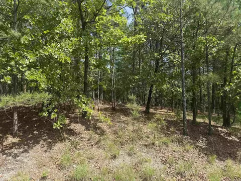53 Altiplano Cir, Hot Springs Village, AR 71909