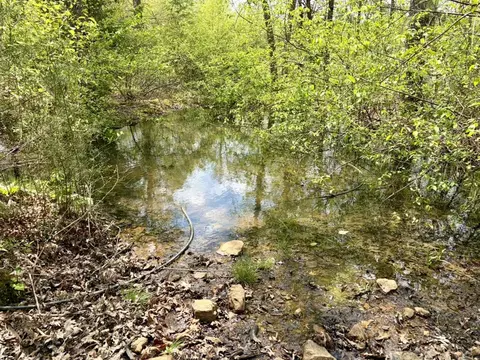000 Rex Rd, Scotland, AR 72141