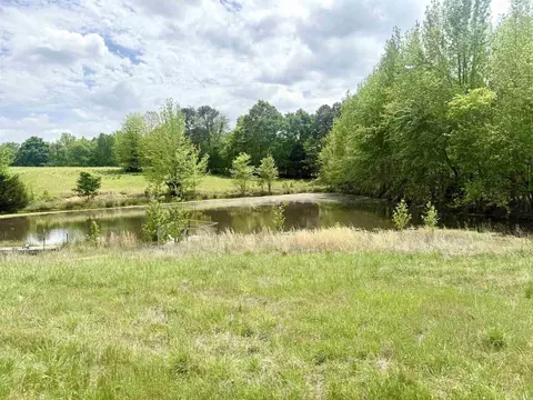 73 22 Acres Greene 620 Rd, Paragould, AR 72450