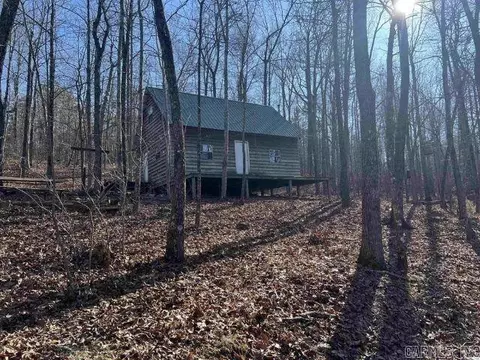 2883 Peyton Creek Rd, Dennard, AR 72629 photo 2
