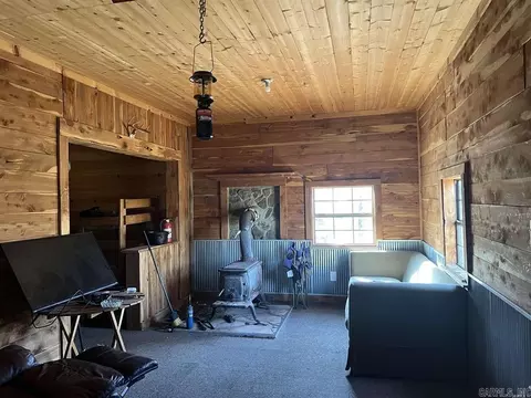 2883 Peyton Creek Rd, Dennard, AR 72629 photo 4