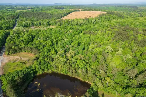 22 62 Acres Hwy 84, Amity, AR 71921 photo 11
