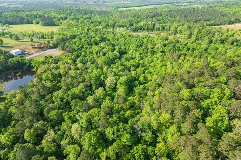 22 62 Acres Hwy 84, Amity, AR 71921 photo 12