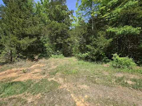 20 Della Carter Dr, Conway, AR 72032 photo 6