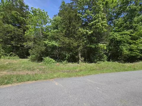 20 Della Carter Dr, Conway, AR 72032