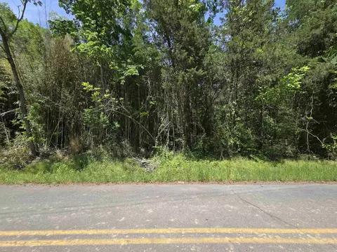 20 Della Carter Dr, Conway, AR 72032 photo 4