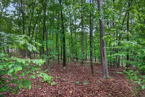 38 Belleza Trce, Hot Springs Village, AR 71909